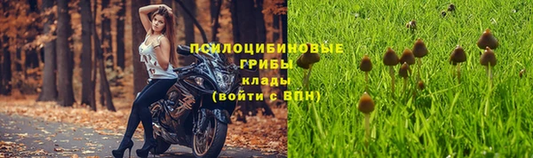 стафф Абинск