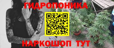 спиды Сланцы