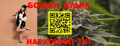 спиды Сланцы