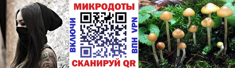 KRAKEN маркетплейс купить закладку Рассказово Псилоцибиновые грибы Magic Shrooms