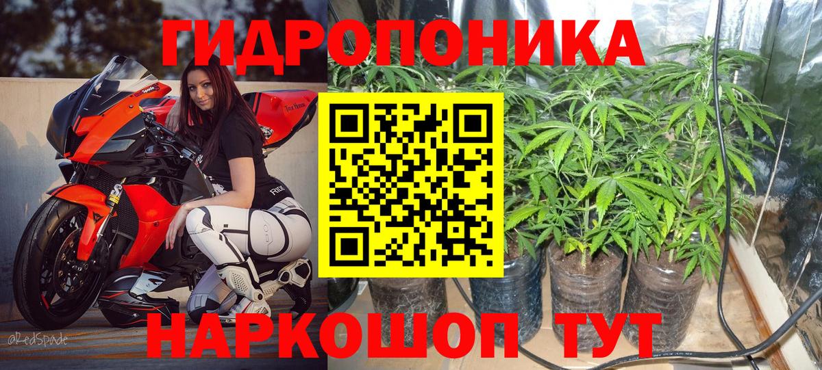 Каннабис SATIVA & INDICA Рассказово